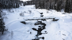 Forest and Stream in Winter 